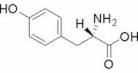 L-酪氨酸