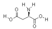 D-天門冬氨酸